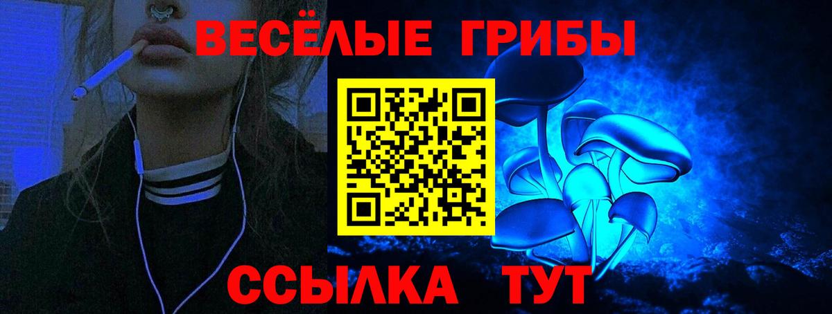 Псилоцибиновые грибы Cubensis Краснодар